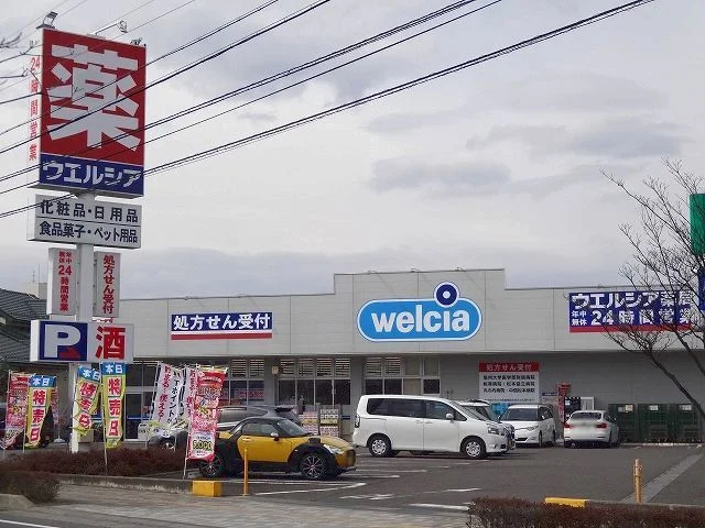ウエルシア  松本高宮西店まで1800m