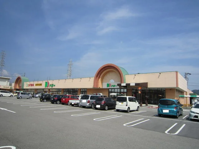 ドミー幸田店まで1000m