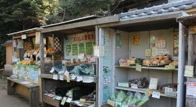 伊藤農園直売所まで197m