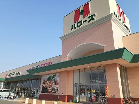 ハローズ大林店まで700m