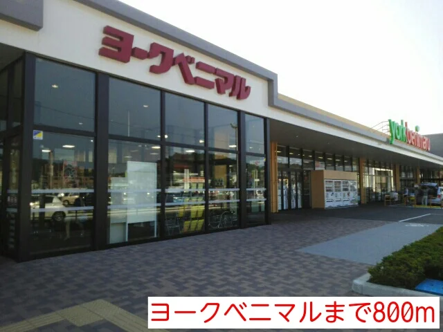 ヨークベニマルまで800m