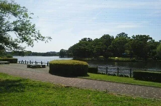 門池公園まで1000m