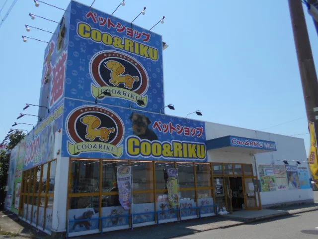ペットショップＣＯＯ＆ＲＩＫＵまで3000m