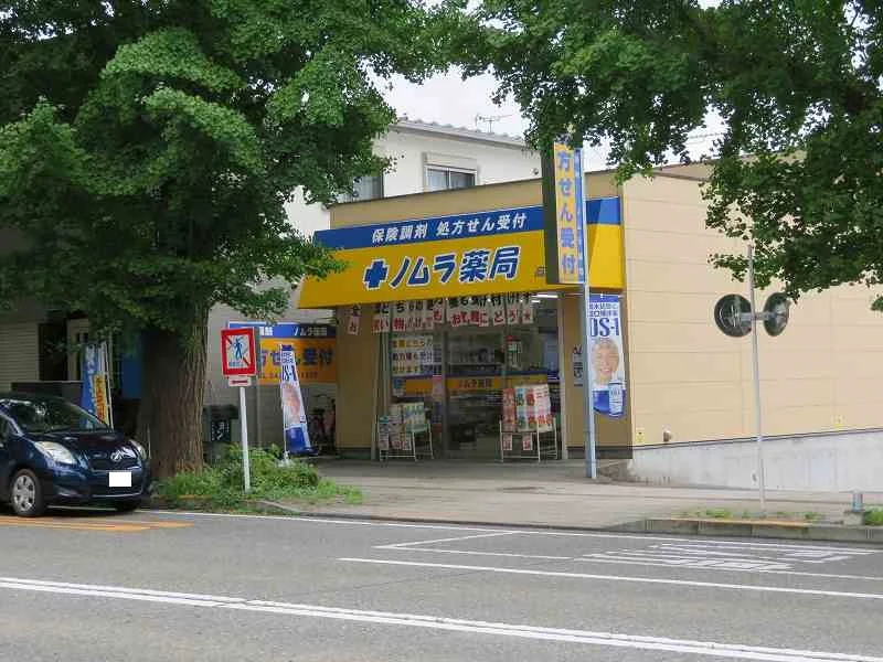 ノムラ薬局まで290m