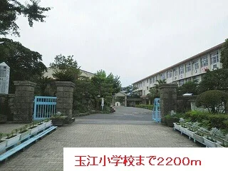 玉江小学校まで2200m