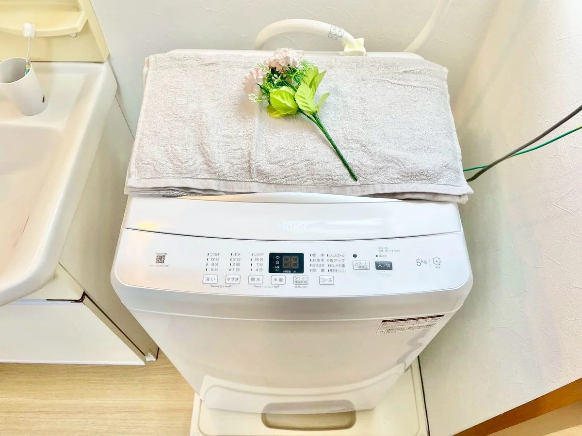 ※撮影用の観察植物・食器調理器具・雑貨類等はございません。※写真は現況優先