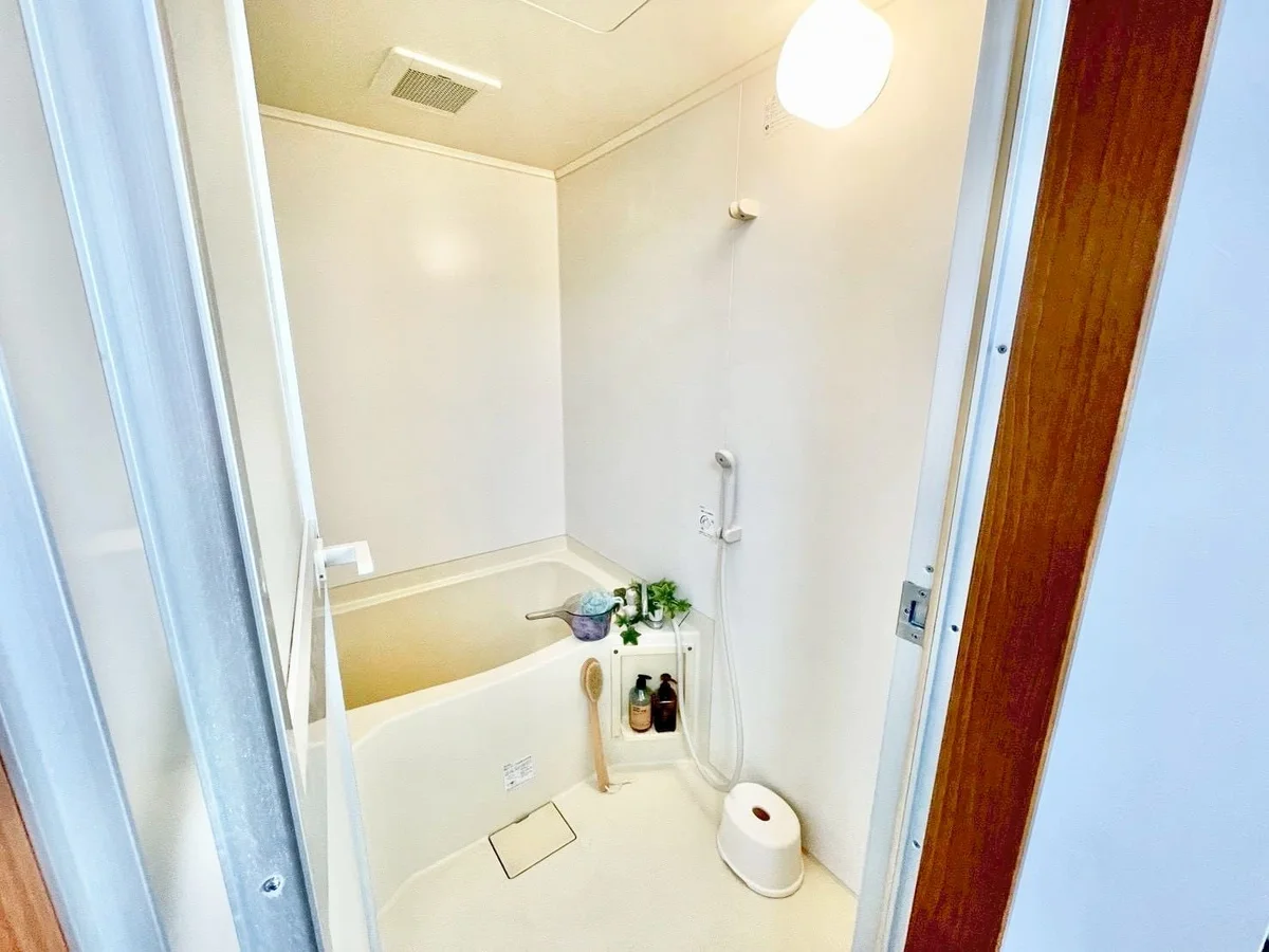 ※撮影用の観察植物・食器調理器具・雑貨類等はございません。※写真は現況優先