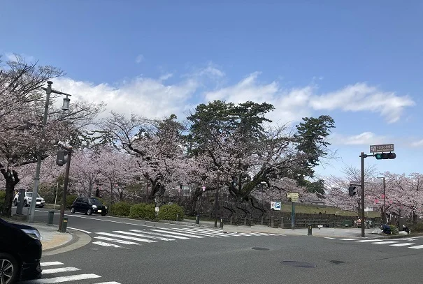 小田原城址公園まで140m