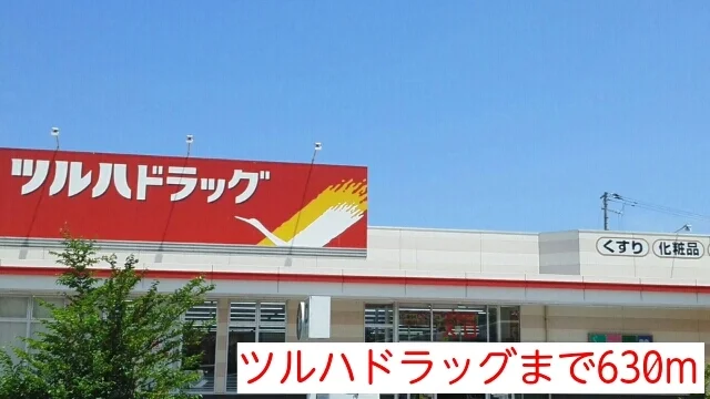 ツルハドラッグまで630m