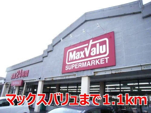 マックスバリュまで1100m