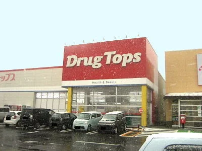 ドラッグトップス豊栄店まで2100m