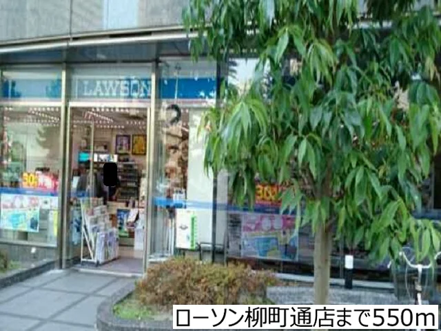 ローソン柳町通店まで550m