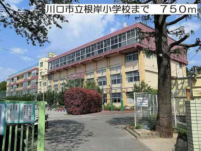 川口市立根岸小学校まで750m