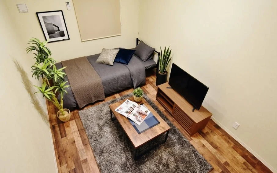 WiFiもご利用いただけます♪南向きで、日当たりも良好★※植木と額とクッションなどは写真用です。