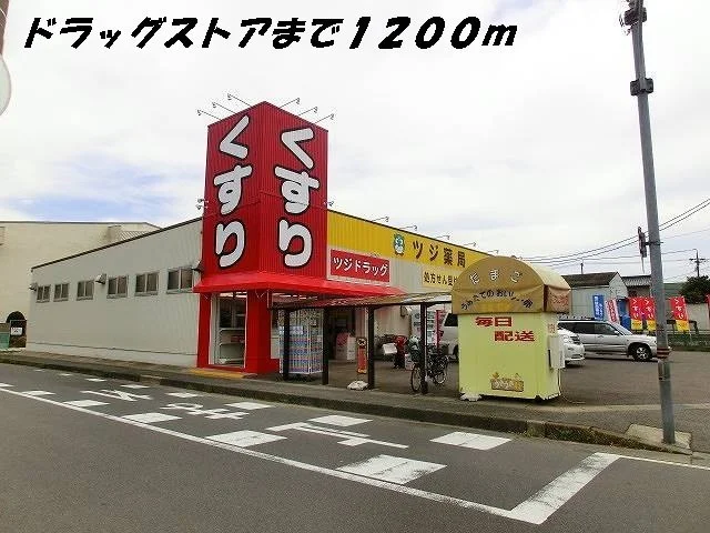 ツジ薬局まで1200m