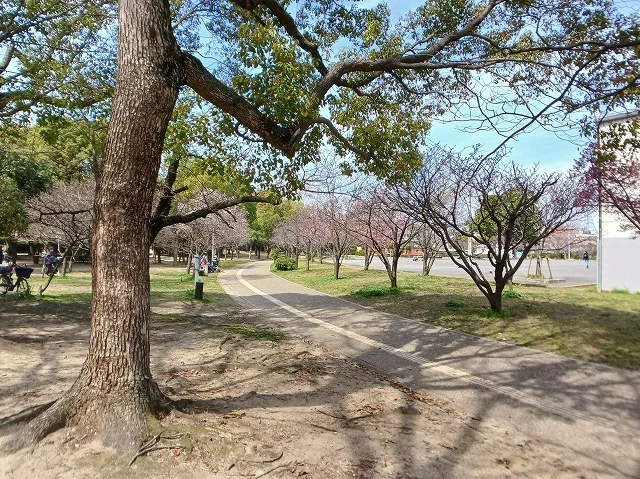 八戸ノ里公園まで400m