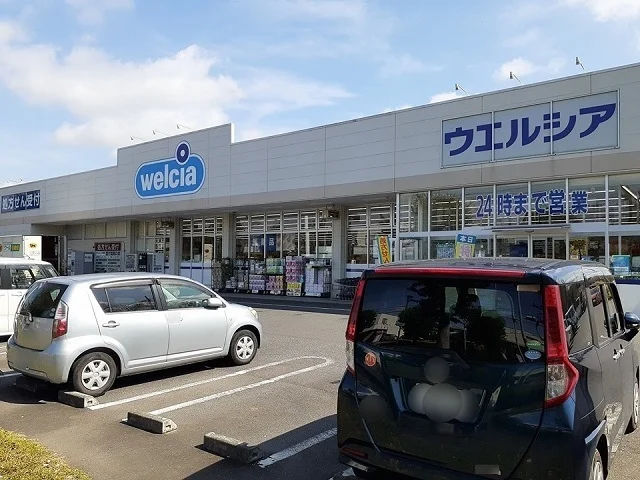 ウエルシア龍ヶ崎長山店まで600m