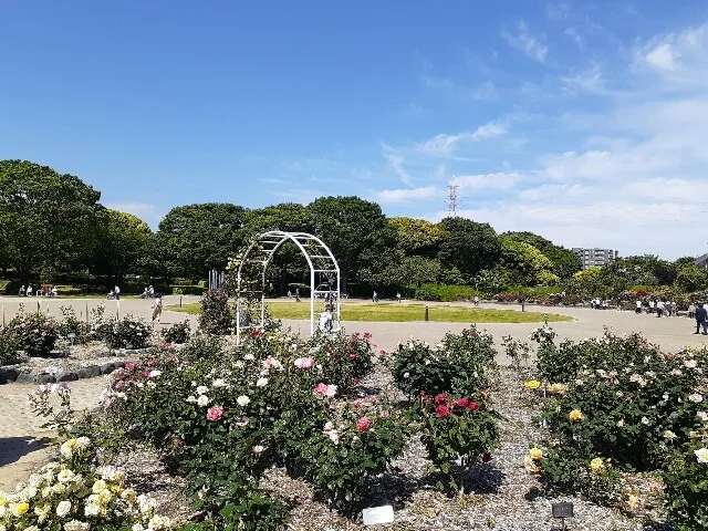 富士市中央公園まで1000m