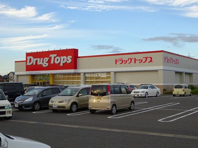 ドラッグトップスかめだ三條岡店まで850m