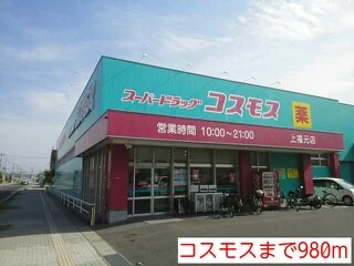 コスモスまで980m