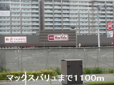マックスバリュまで1100m