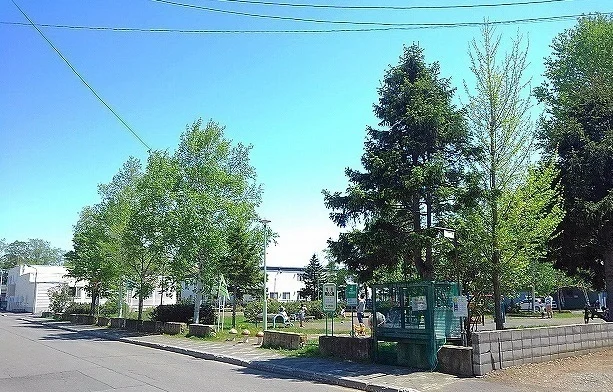 屯田開拓公園まで350m