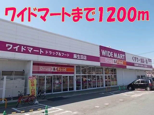 ワイドマートＤ＆Ｆまで1200m