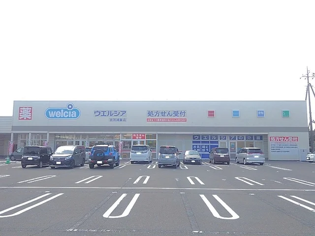 ウエルシア古河鴻巣店まで850m