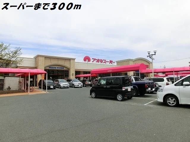 アオキスーパーまで300m