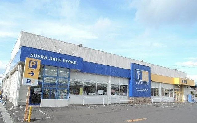 薬王堂八戸田向店まで1000m