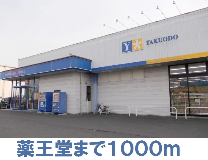 薬王堂まで1000m