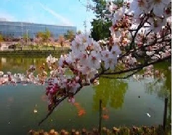 亀城公園まで850m