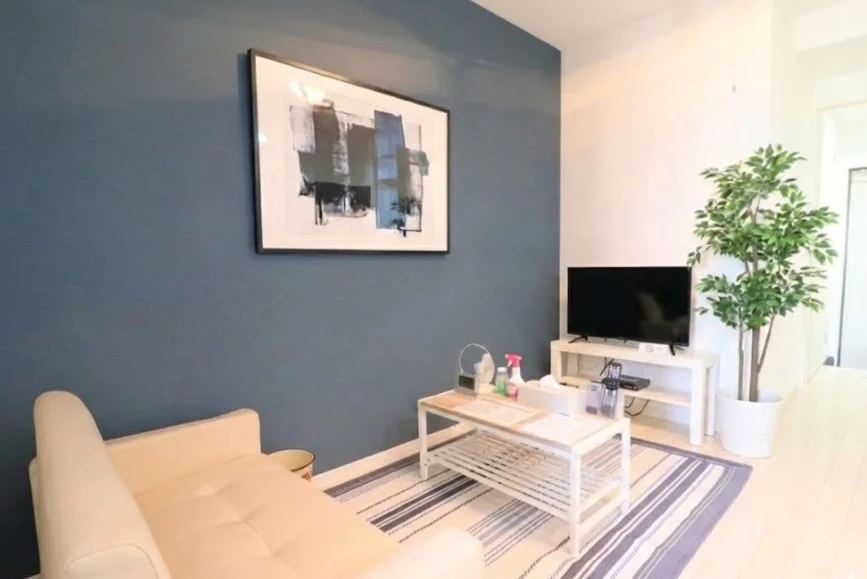 32型テレビやソファーがあり、ゆっくり寛げる空間となっております。家具家電だけでなく、ティッシュやリセッシュ等もご用意させていただいてますので、短期～長期でお住まいの方にもあった。※植木と額は写真用です。助かるものが多いと、大変ご好評いただいております！！