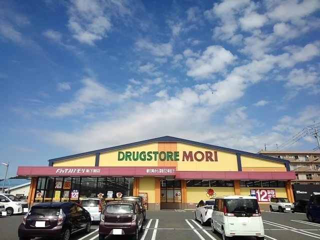 ドラッグストアモリまで1100m