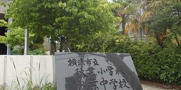 秋葉小学校まで557m