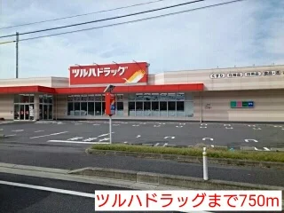 ツルハドラッグまで750m