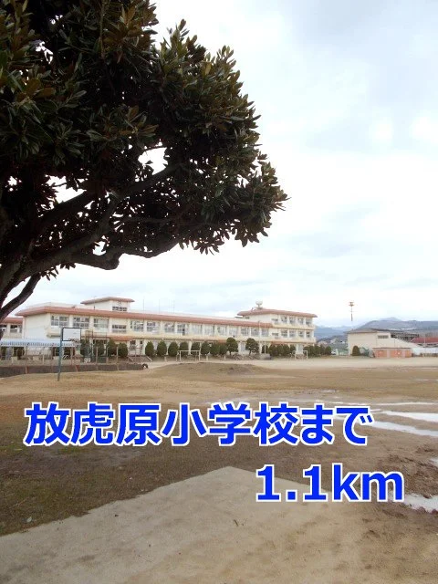 放虎原小学校まで1100m