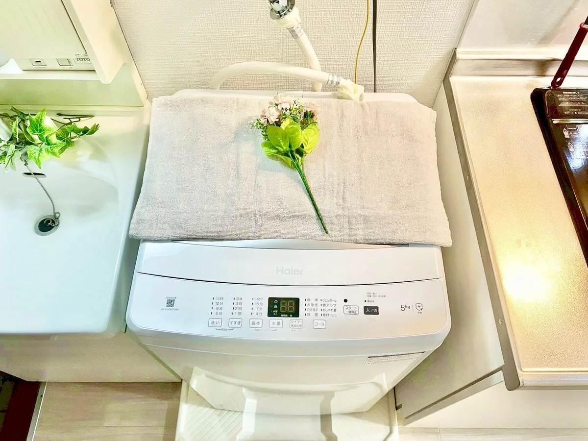 ※撮影用の観察植物・食器調理器具・雑貨類等はございません。※写真は現況優先