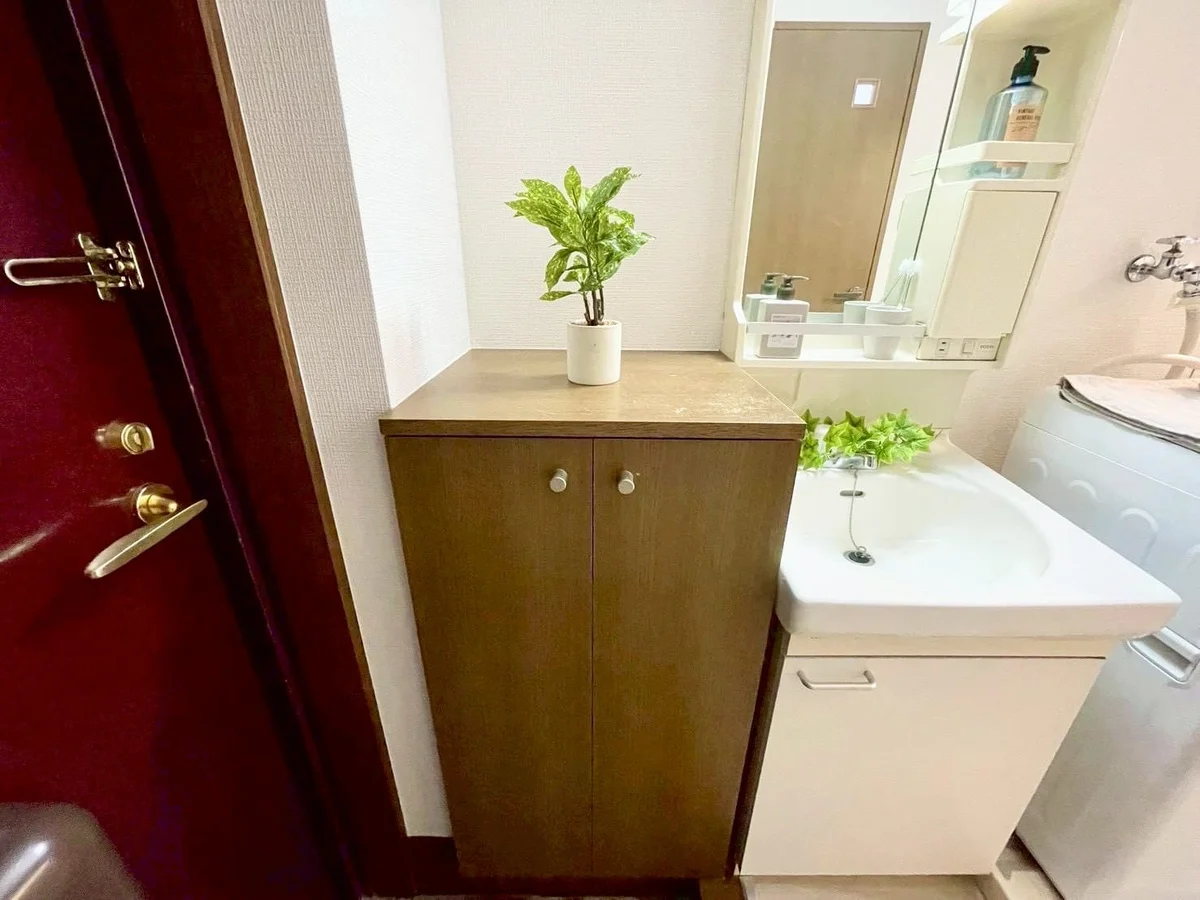 ※撮影用の観察植物・食器調理器具・雑貨類等はございません。※写真は現況優先