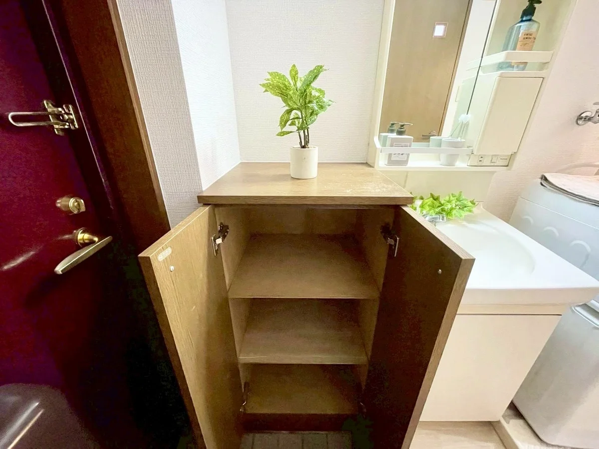 ※撮影用の観察植物・食器調理器具・雑貨類等はございません。※写真は現況優先