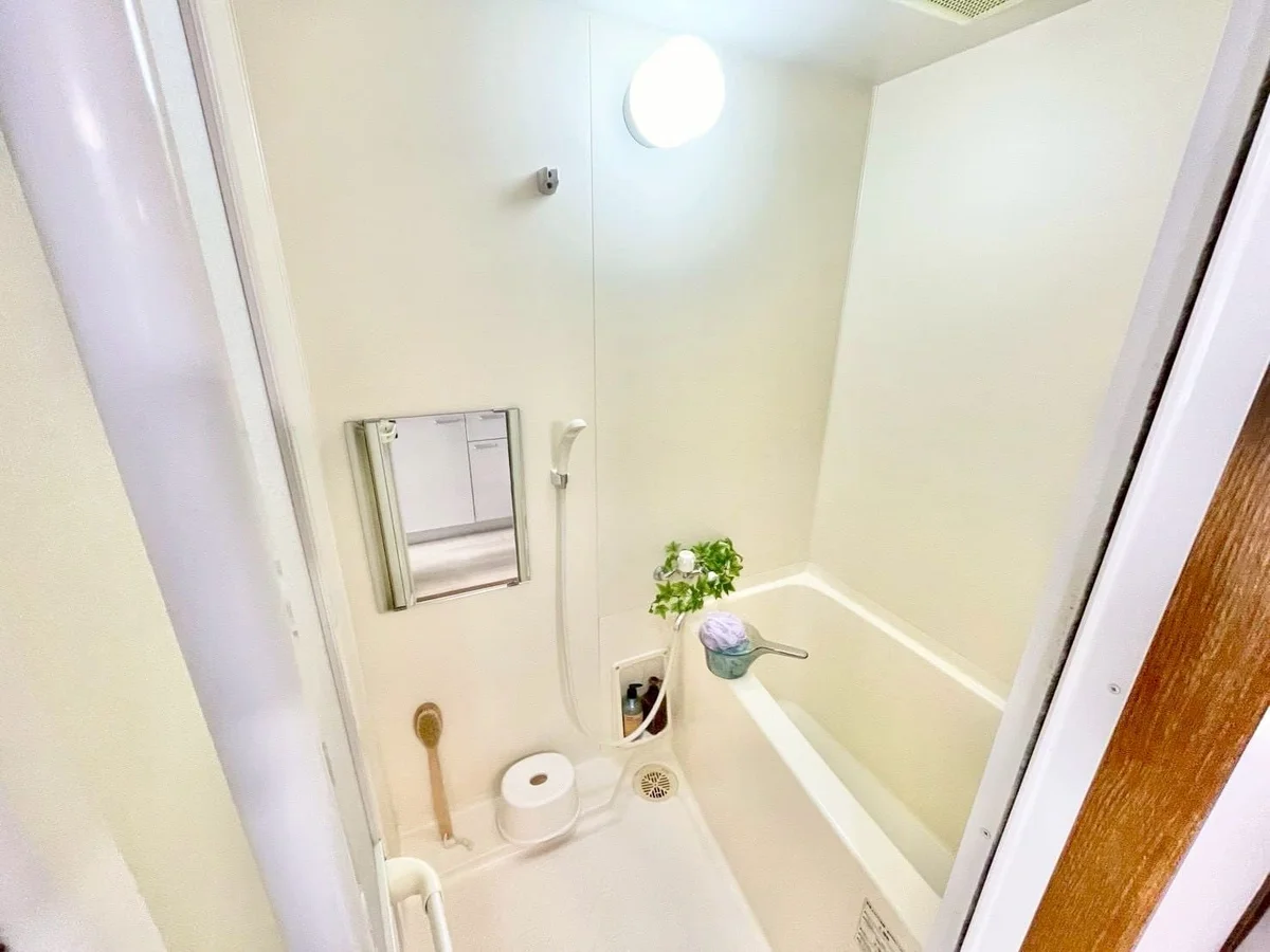 ※撮影用の観察植物・食器調理器具・雑貨類等はございません。※写真は現況優先