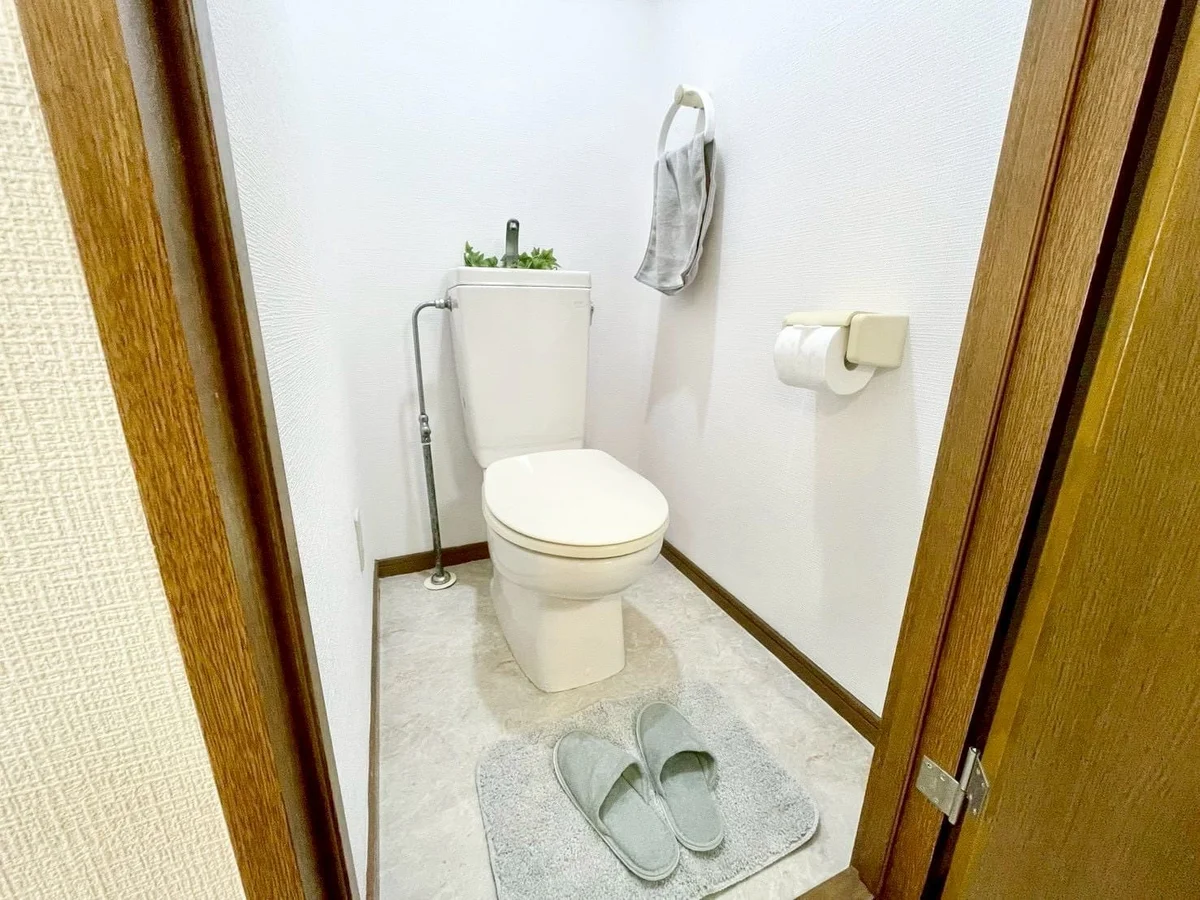 ※撮影用の観察植物・食器調理器具・雑貨類等はございません。※写真は現況優先