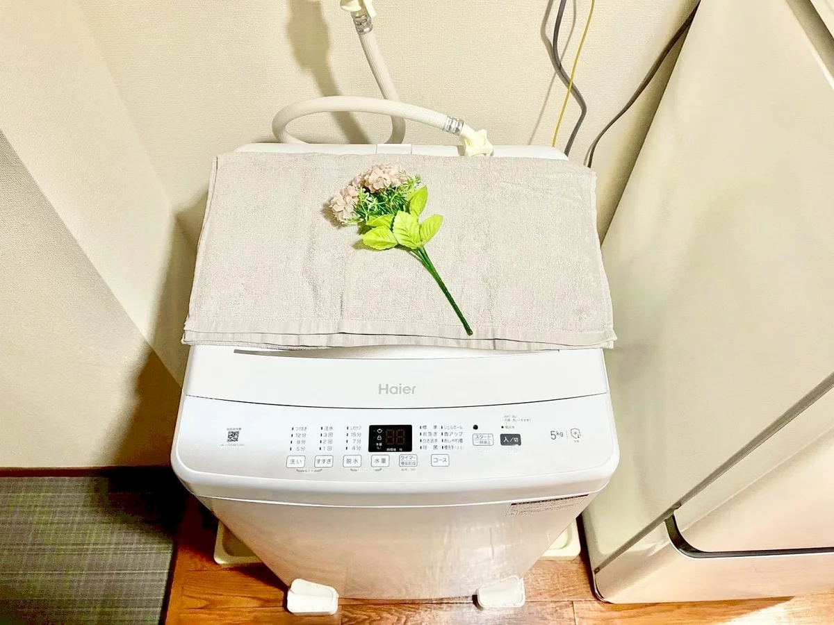 ※撮影用の観葉植物・食器調理器具・雑貨類等はございません。※図面・写真は現況優先。