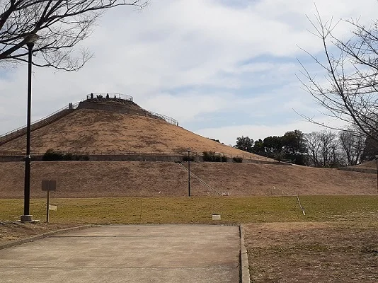 川和富士公園まで500m