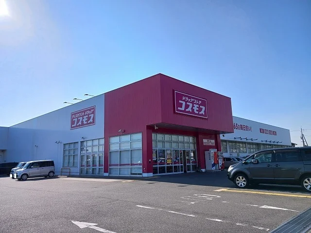 コスモス望町店まで1600m