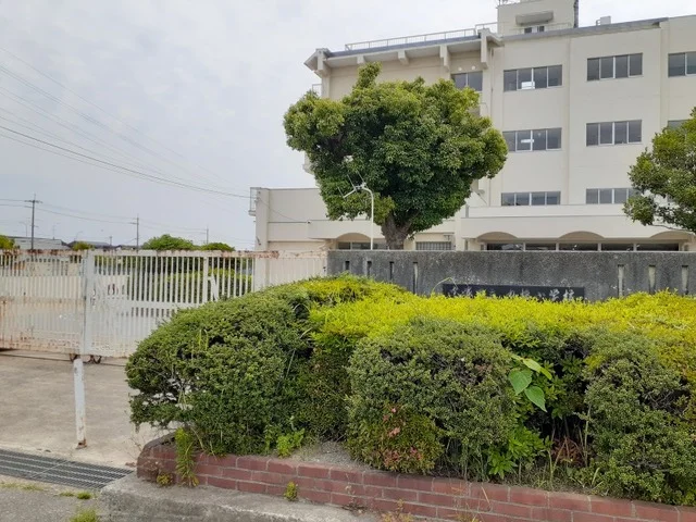 丸橋小学校まで60m