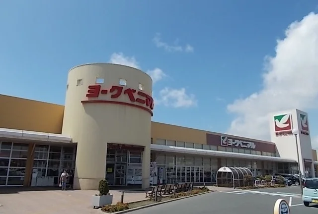 ヨークベニマル石巻蛇田店まで1100m