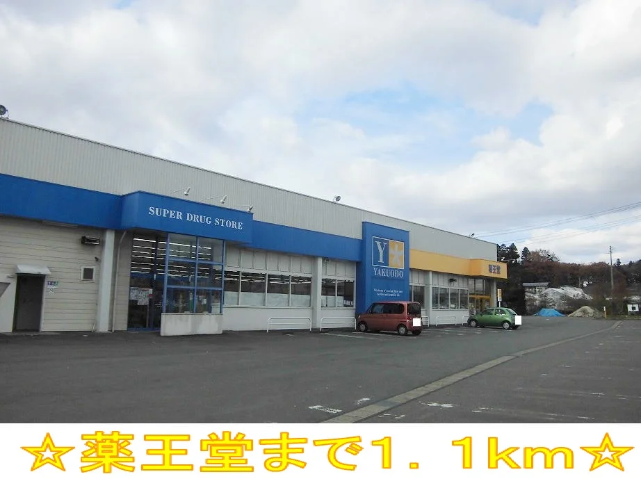 薬王堂まで1100m