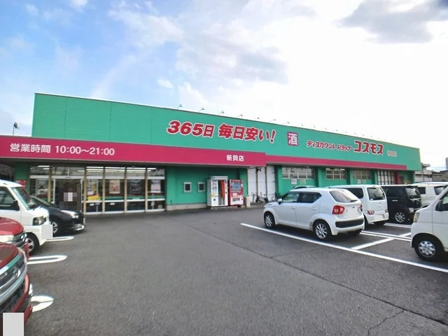 コスモス　新貝店まで600m
