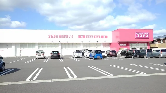 コスモスまで100m